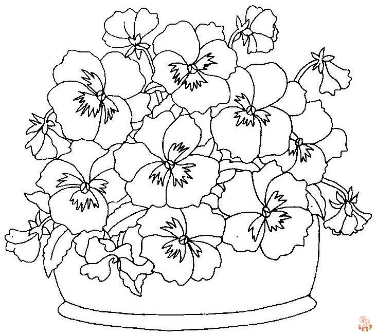 Pansy coloring pages16