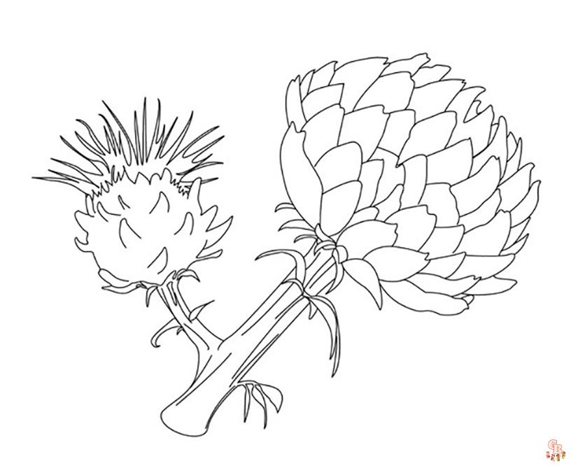 Proteas Coloring Pages 1
