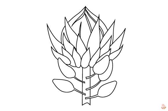 Proteas Coloring Pages 4