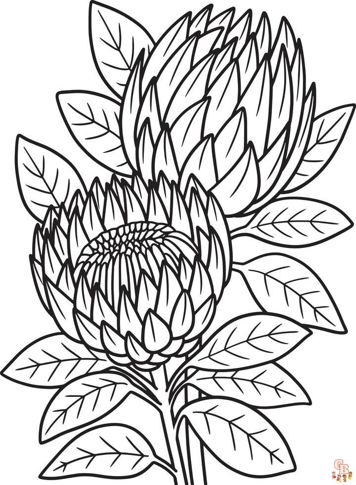 Proteas Coloring Pages 6