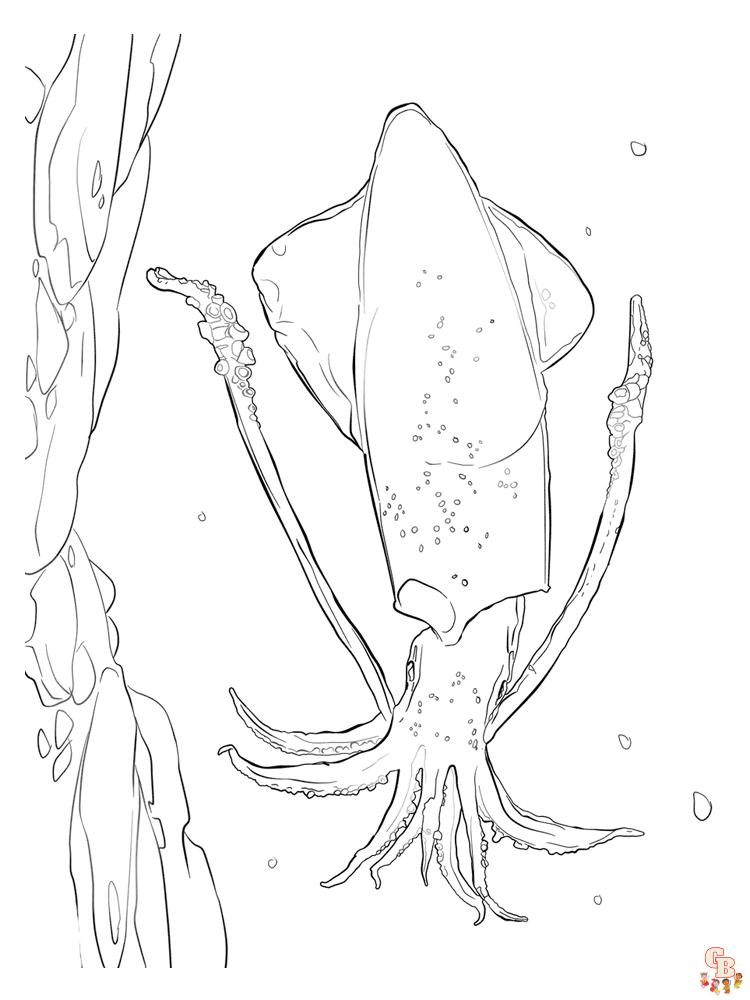Squid Coloring Pages 11