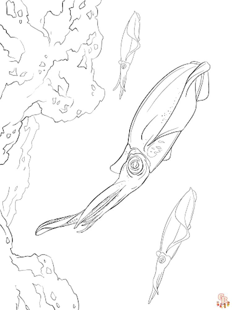 Squid Coloring Pages 13