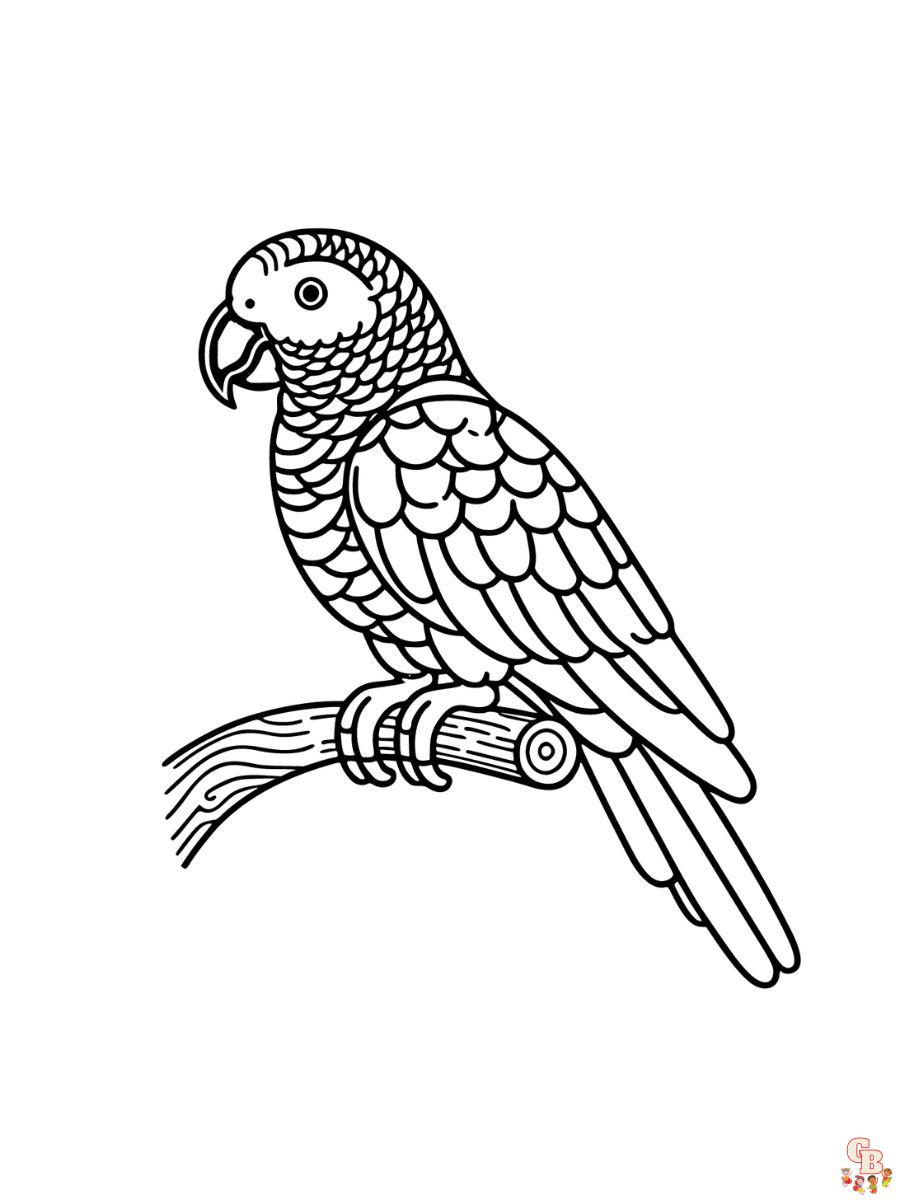 Parrot coloring pages