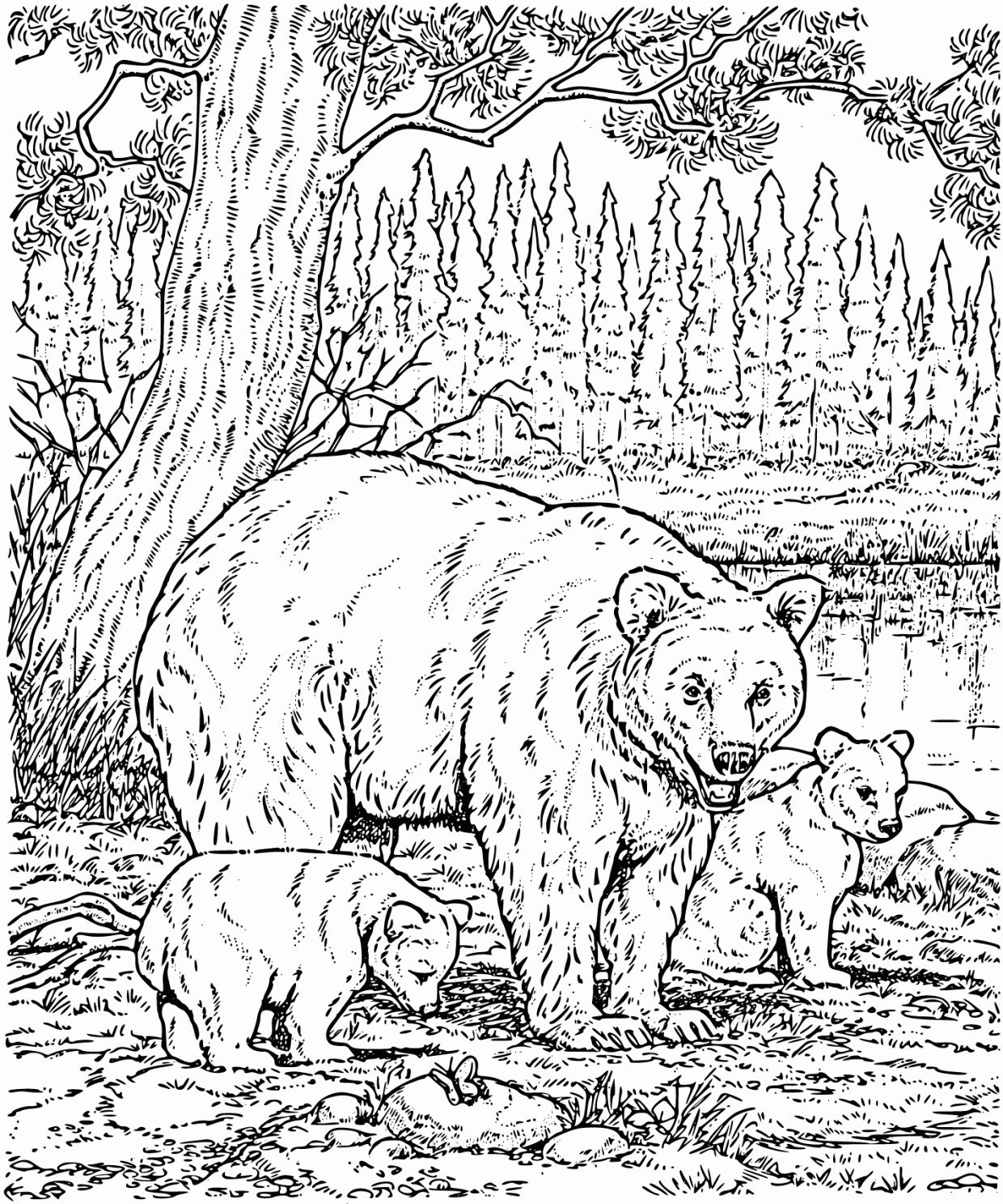 Explore the Wild with Free Printable Bear Coloring Pages