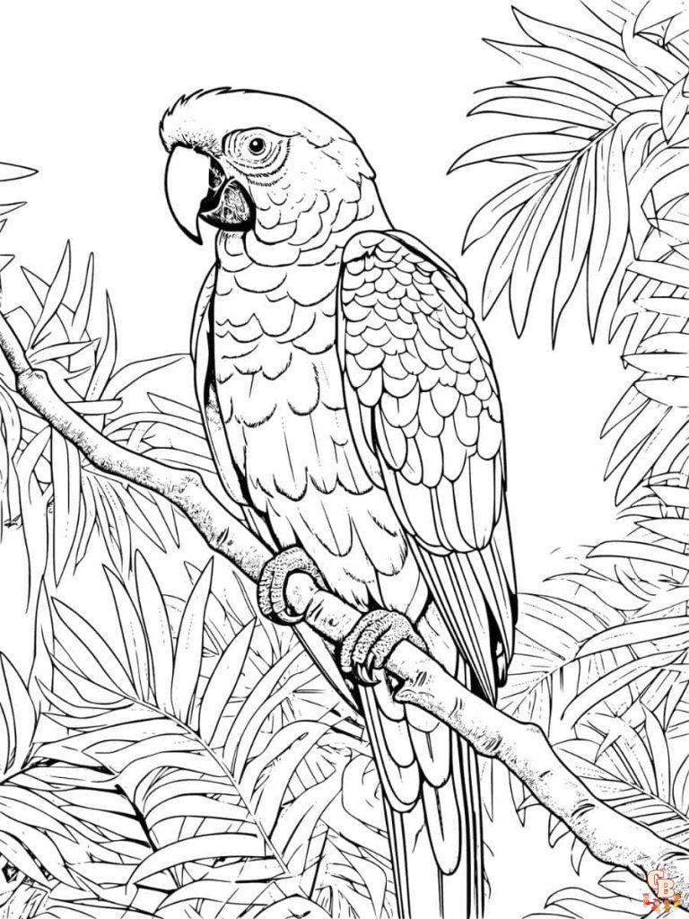 The best Parrot coloring pages 2023