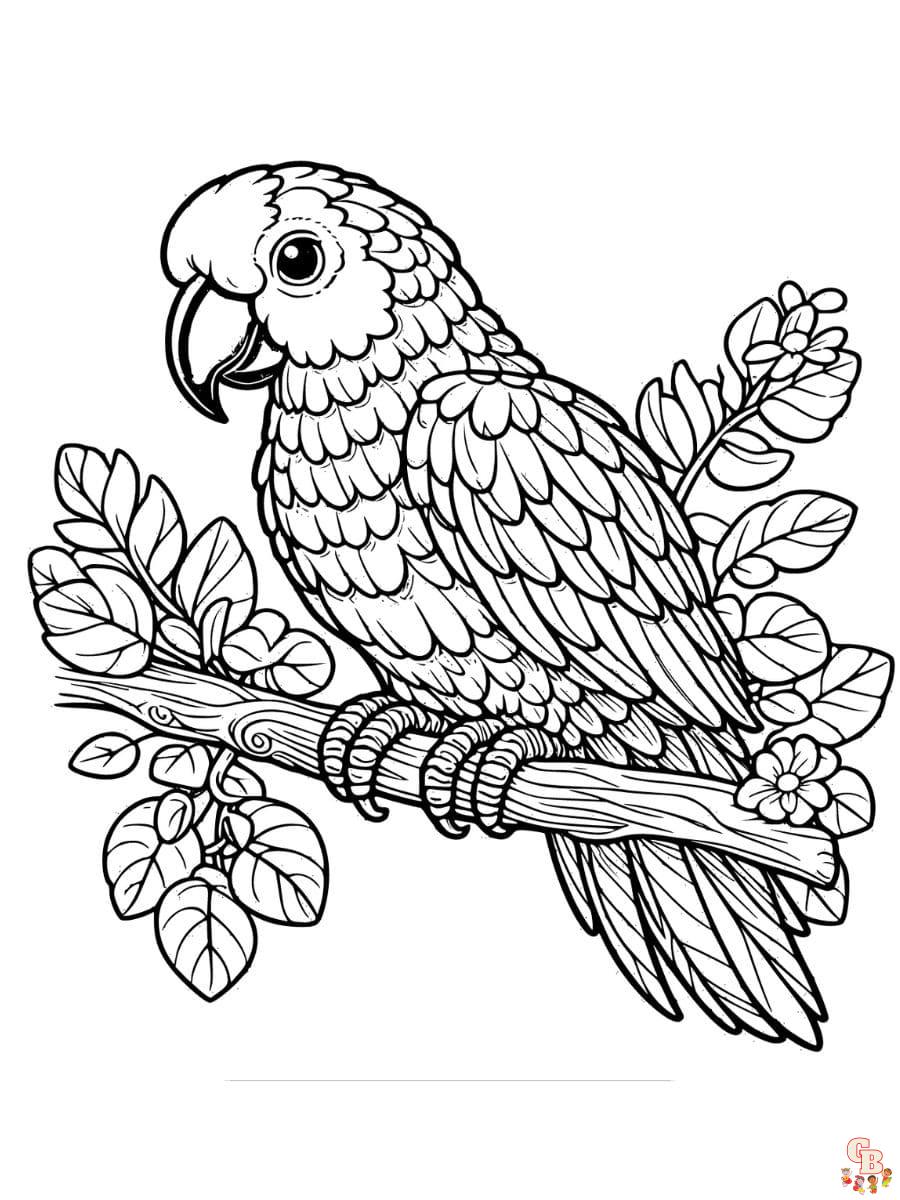 free parrot coloring pages
