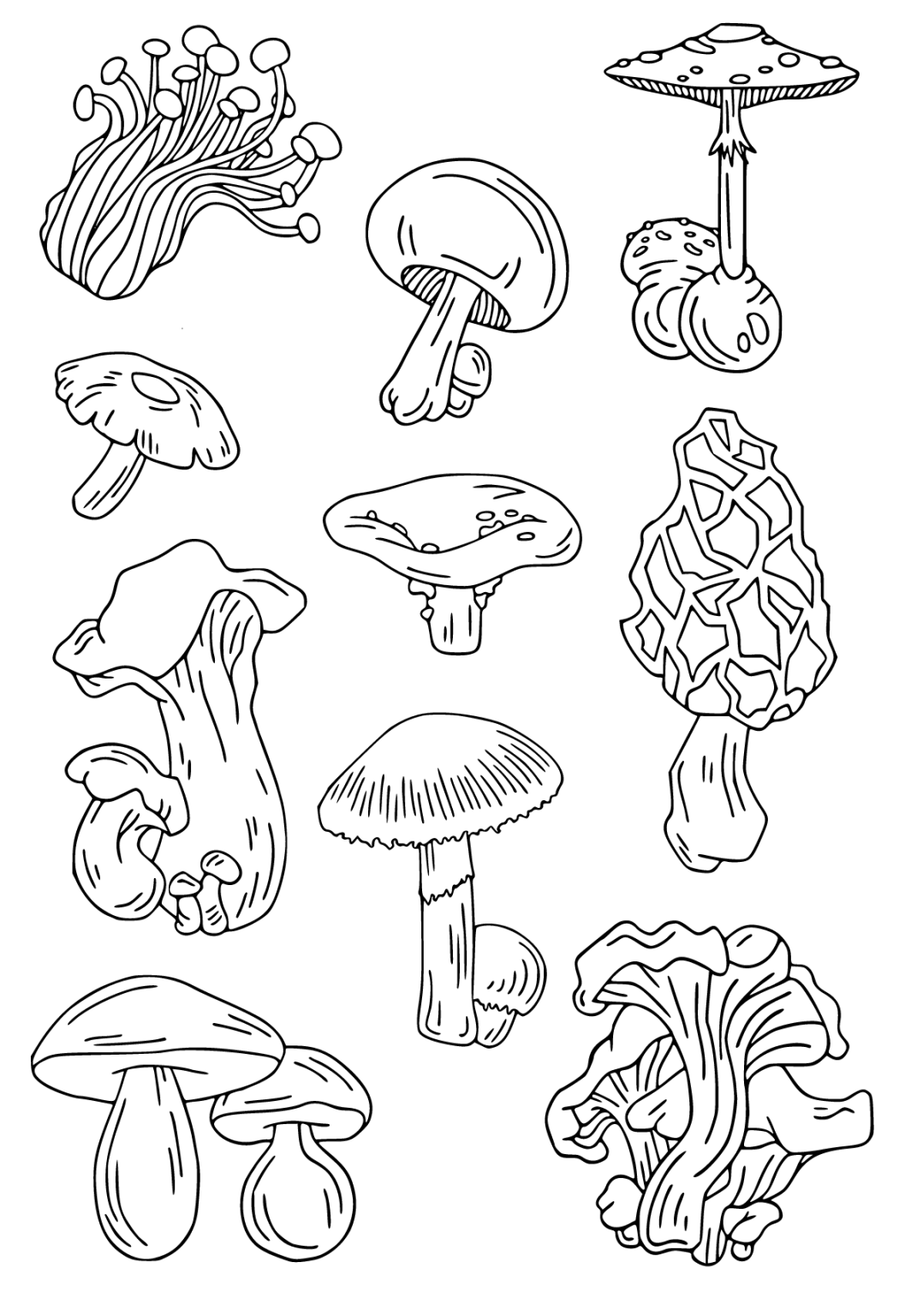 The Best Mushrooms Coloring Pages For Free - GBcoloring