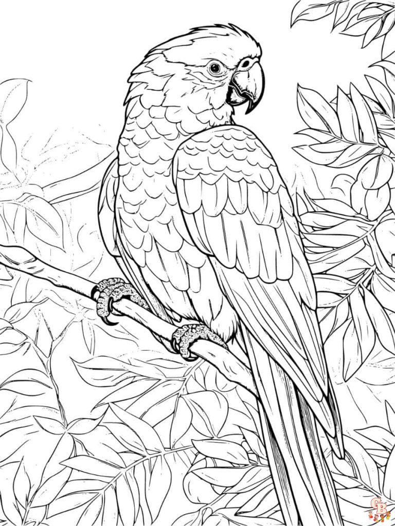 The best Parrot coloring pages 2023