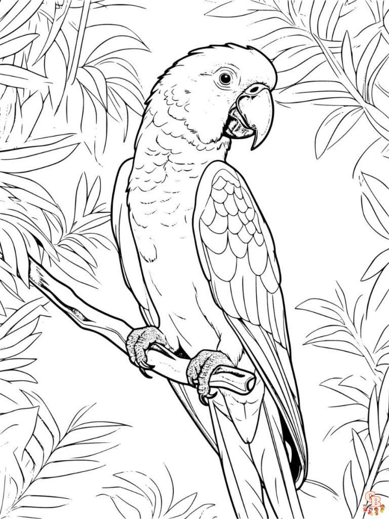 The best Parrot coloring pages 2023