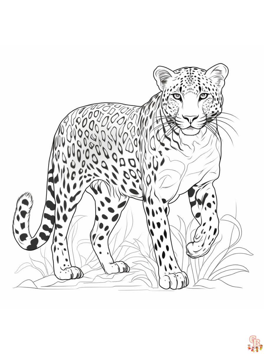 dibujos de guepardo para colorear