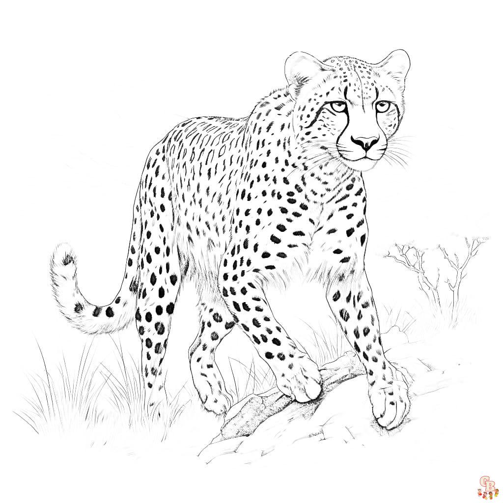 Dibujos de guepardo gratis para colorear para adultos.