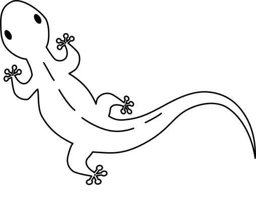 Printable Gecko Coloring Pages Free For Kids And Adults