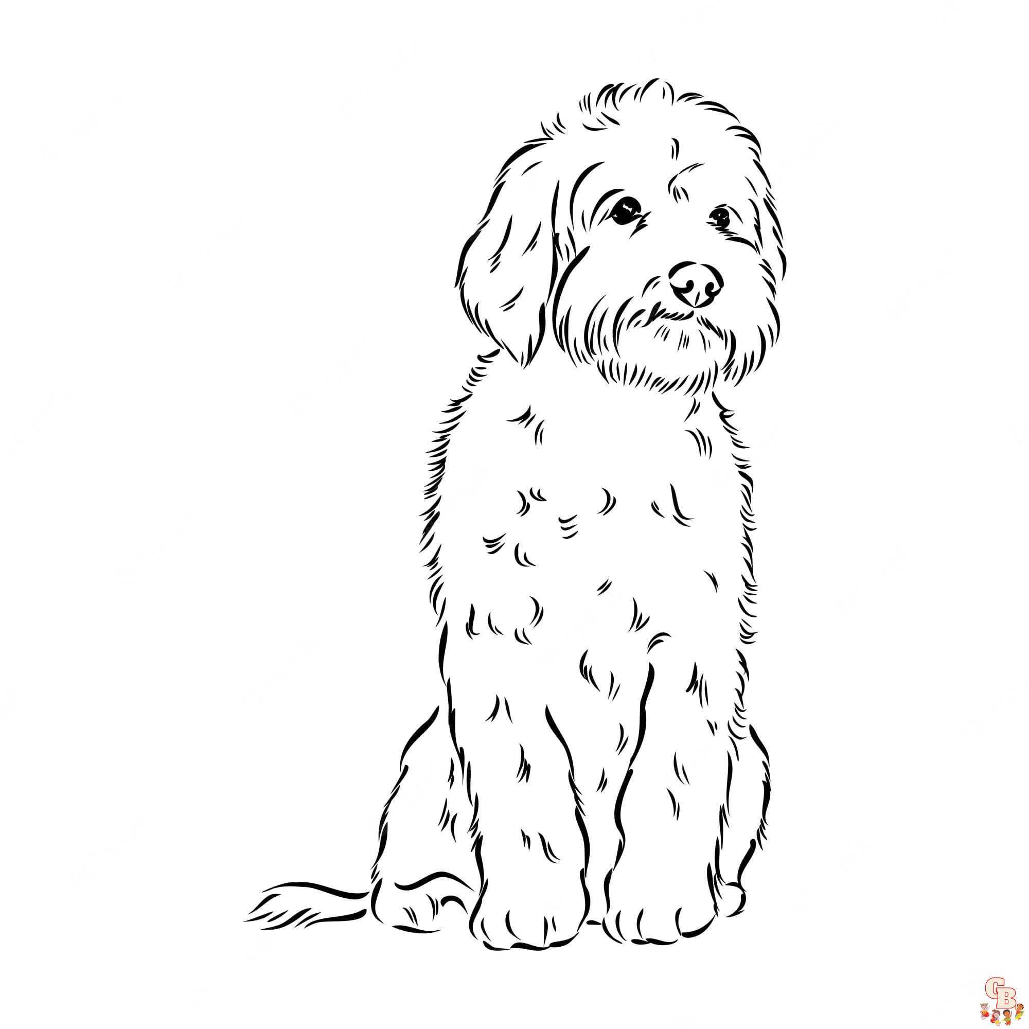Free Goldendoodle coloring pages for kids