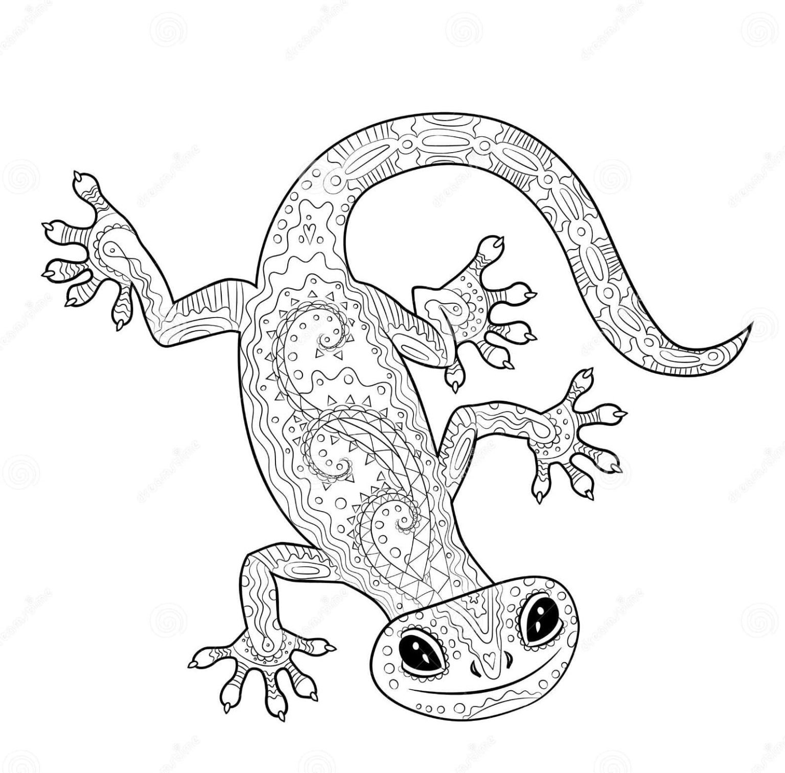 Páginas para colorear de Gecko imprimibles gratis para niños y adultos