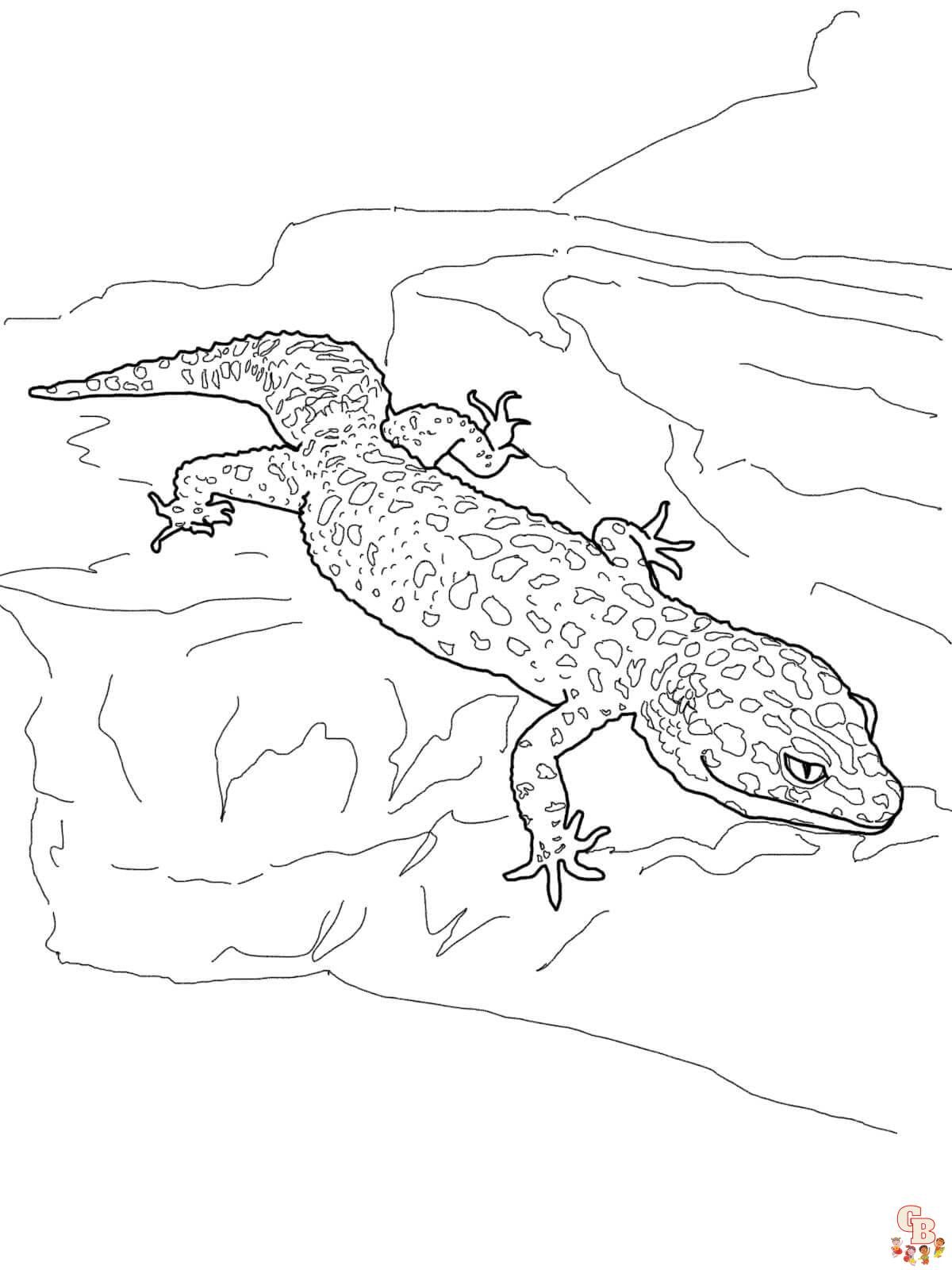Gecko Coloring Pages