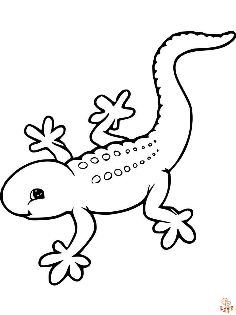 Printable Gecko Coloring Pages Free For Kids And Adults