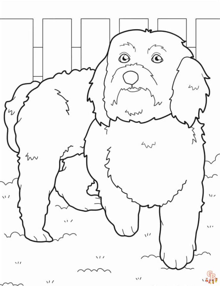 Goldendoodle Coloring Sheets