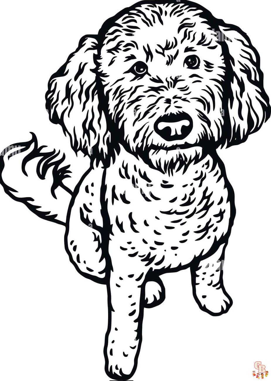 Goldendoodle coloring pages printable free