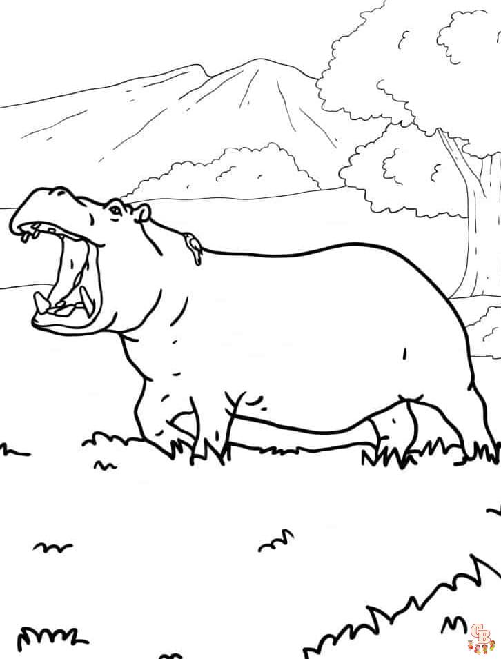 Hippo coloring pages printable