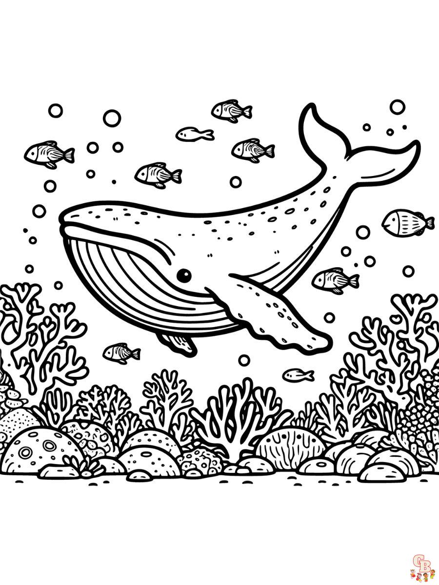 Humpback Whale Coloring Pages for kids