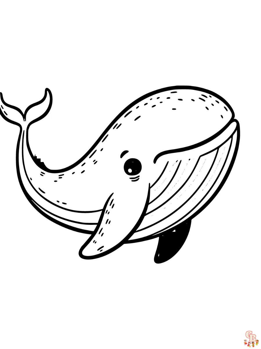 Humpback Whale Coloring Pages free