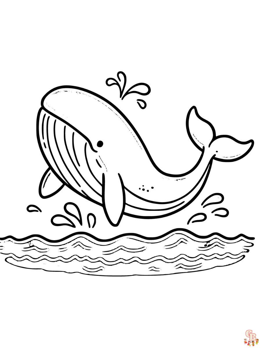Humpback Whale Coloring Pages printable