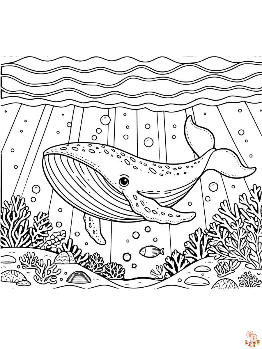 Humpback Whale Coloring Pages