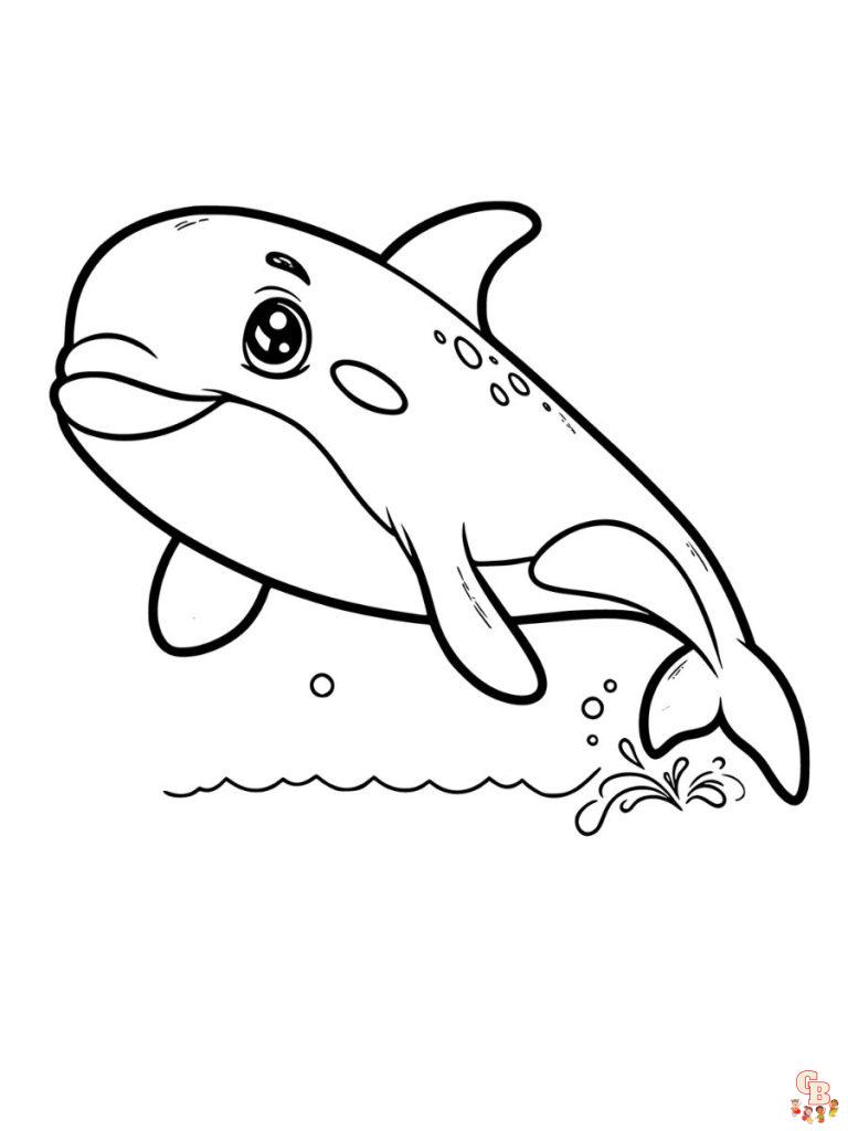 Whale Coloring Pages - Free and Printable