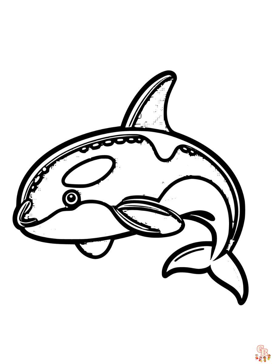 Killer Whale Coloring Pages free