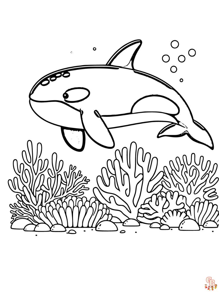 Killer Whale Coloring Pages simple