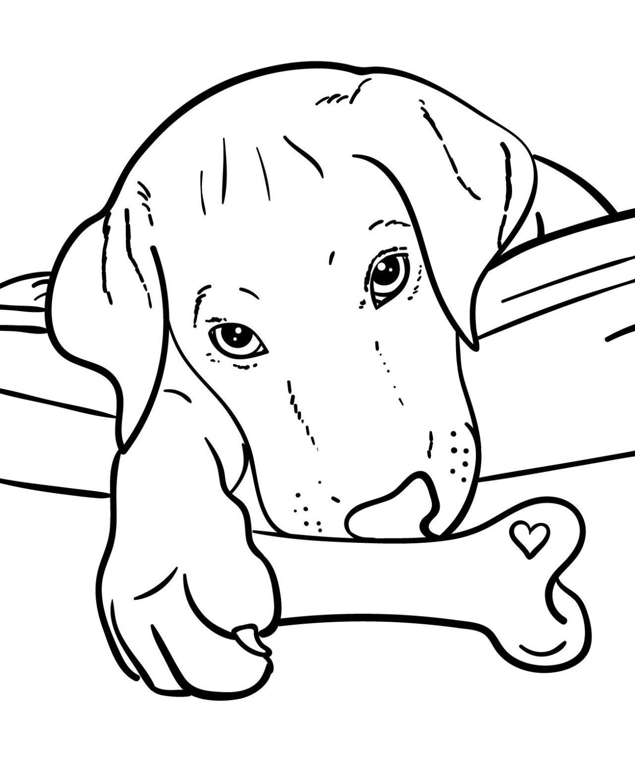 Printable Pet Coloring Pages Free For Kids And Adults