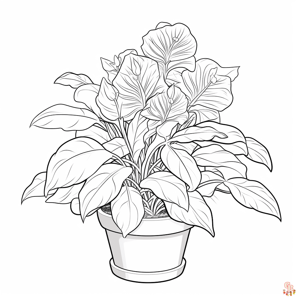 Plant coloring pages printable