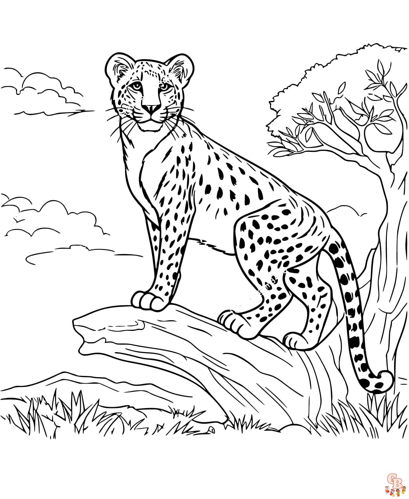 Hojas para colorear de guepardo imprimibles