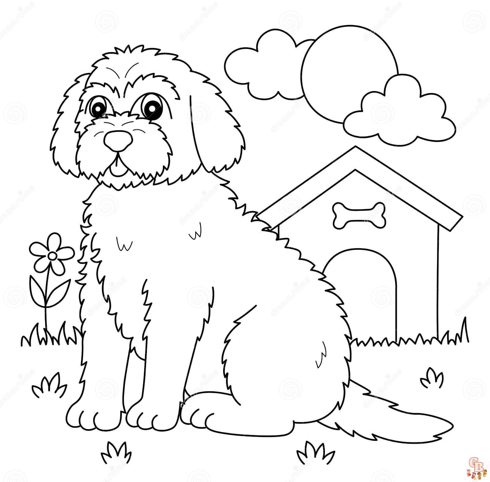 Printable Goldendoodle coloring sheets