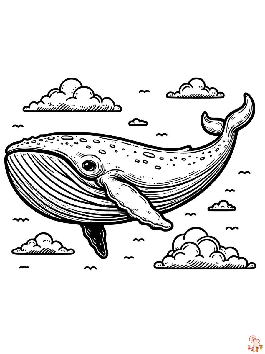 Realistic Whale Coloring Pages free