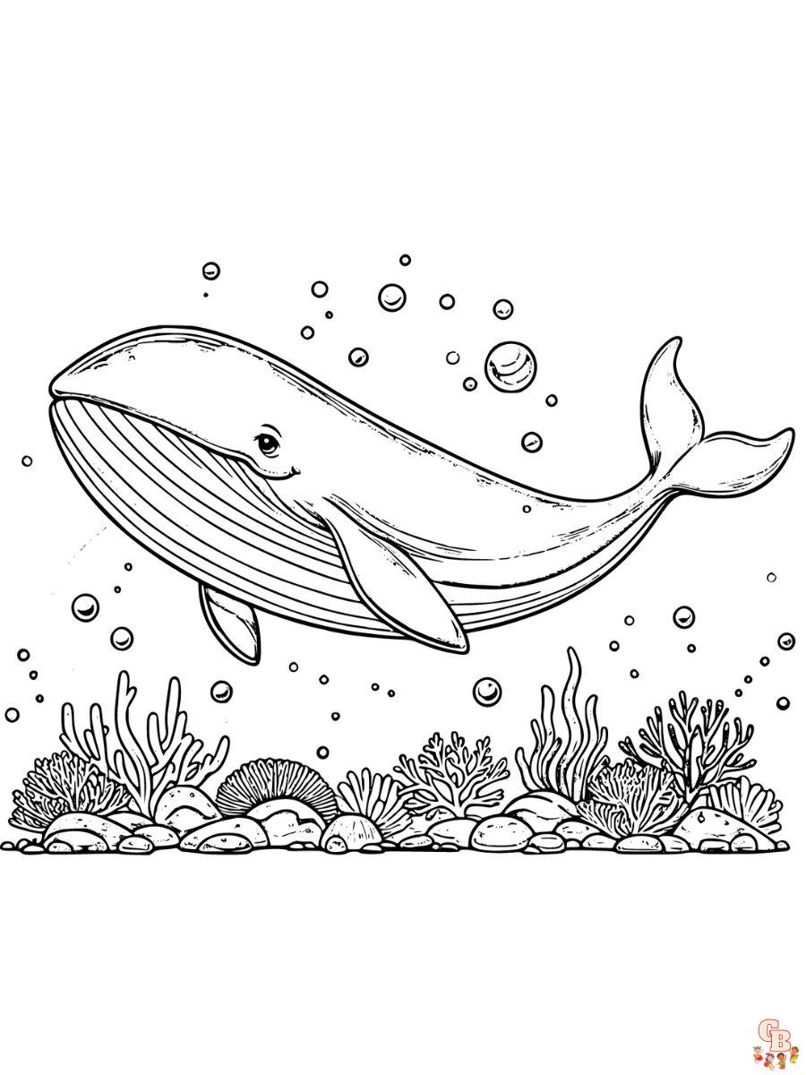 Realistic Whale Coloring Pages printable