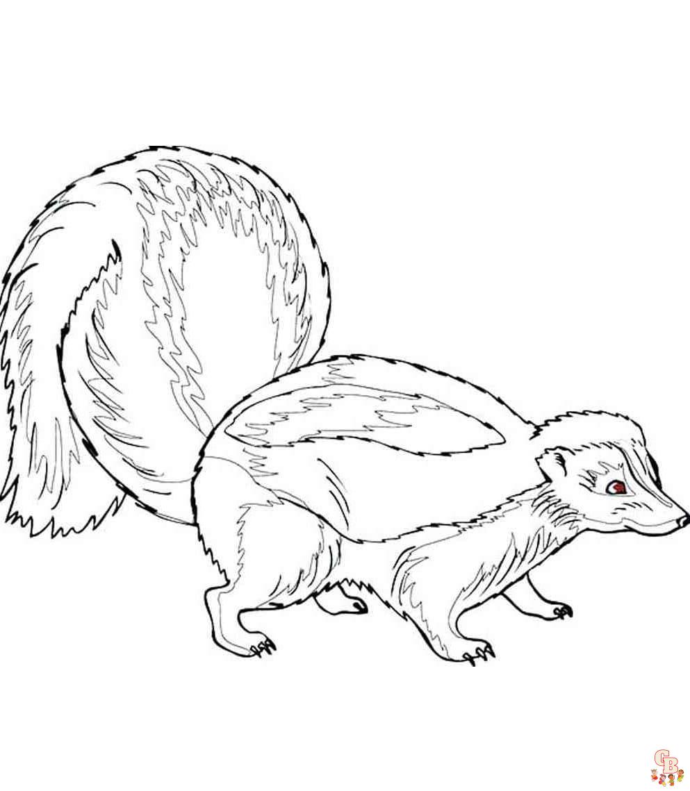 Skunk Coloring Pages