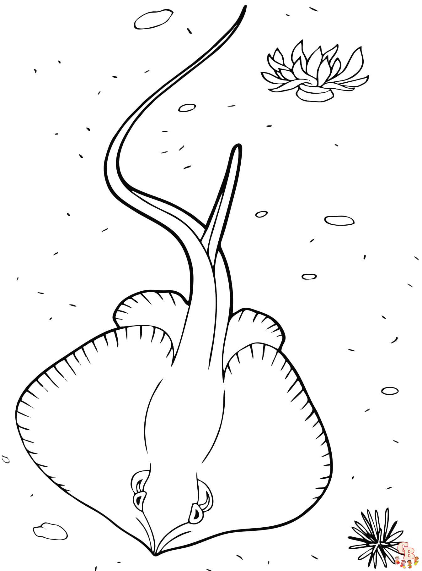 Stingrays Coloring Pages
