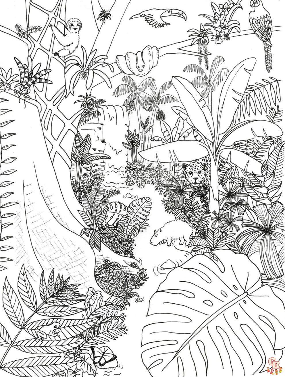 Tropical Coloring Pages