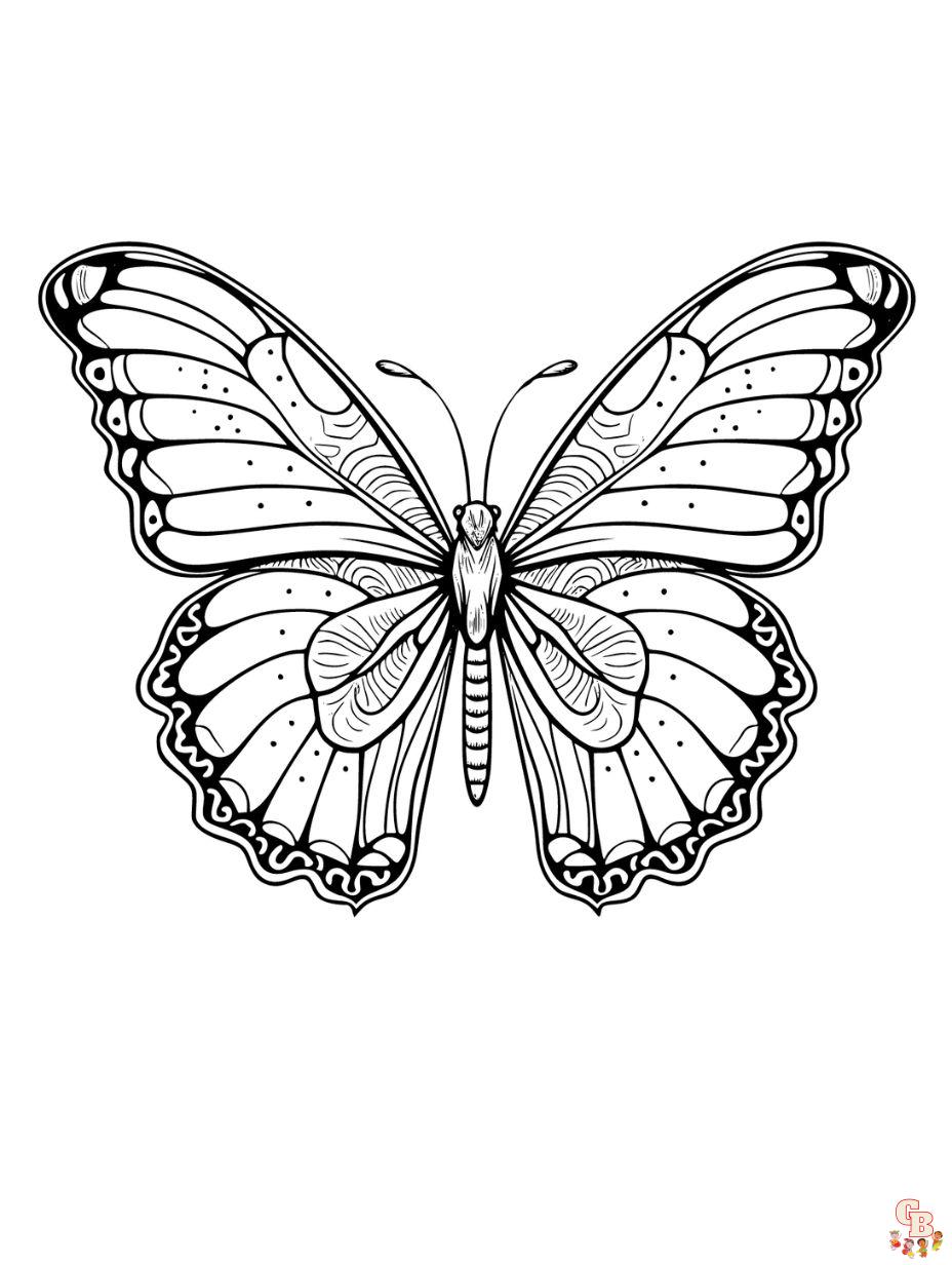 butterfly coloring pages for adults