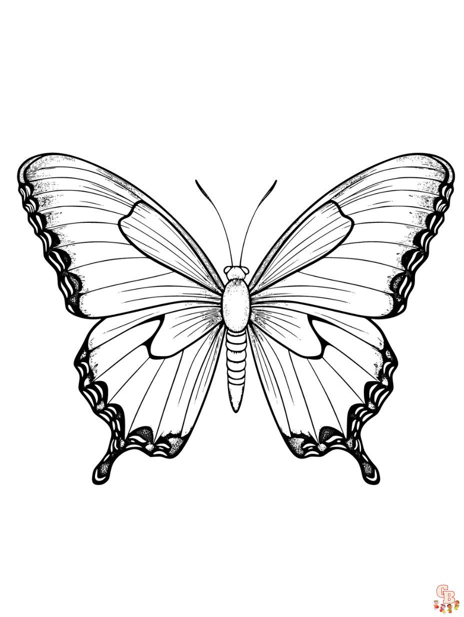 coloring pages butterflies