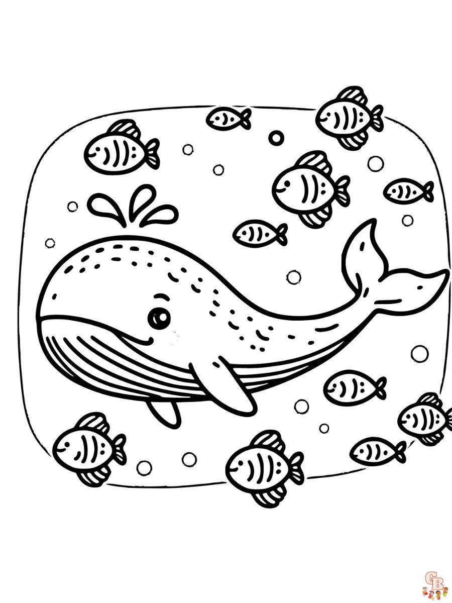 coloring pages for adults whale