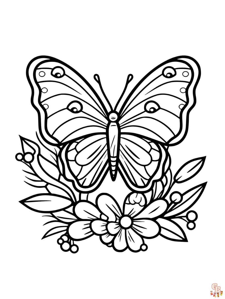 coloring pages of butterflies