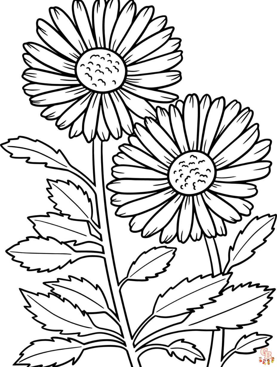 Desenho Para Colorir Flores - Calêndula, Margaridas, Rosas e mais