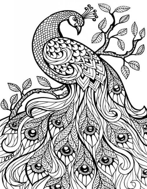 Printable Hard Coloring Pages Free For Kids And Adults