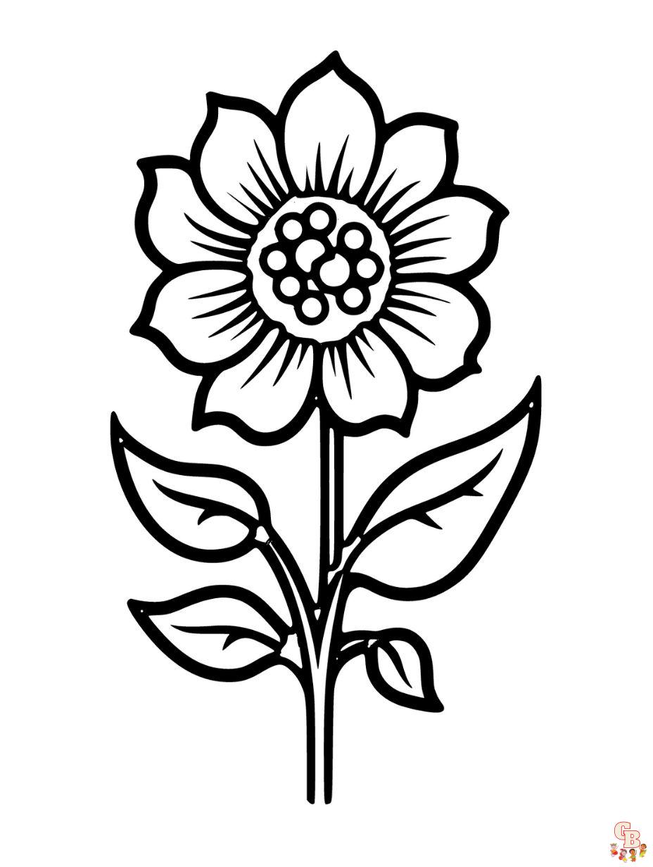 flower coloring pages printable free