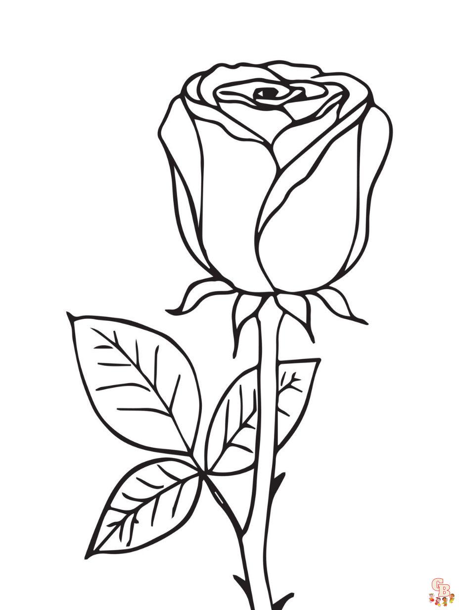flower coloring pages rose