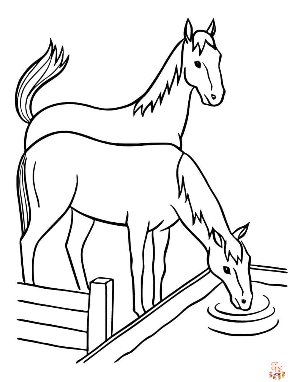 free horse coloring page printable