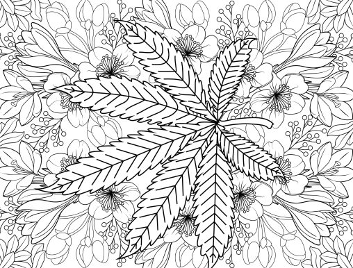 Printable Marijuana Coloring Pages Free For Kids And Adults