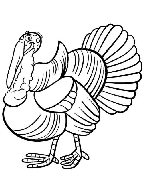 Enjoy Free Turkey Coloring Pages Printable and Have Fun